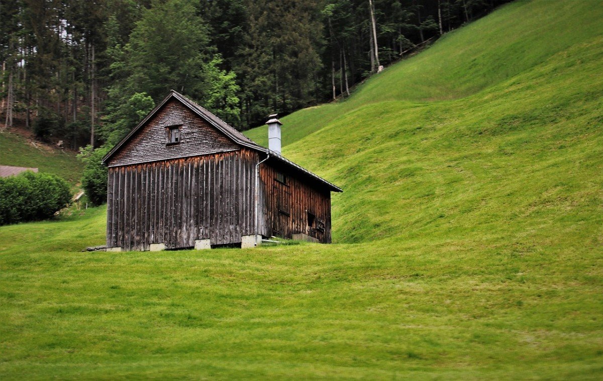 Maintaining Fresh and Sanitary Chicken Coops: Essential Tips