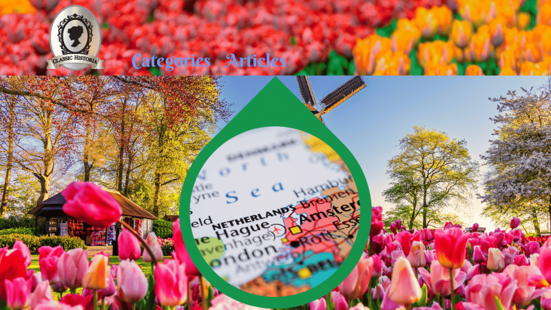 Explore the Beauty and Stories behind the Stunning Tulips and the Charming Castle