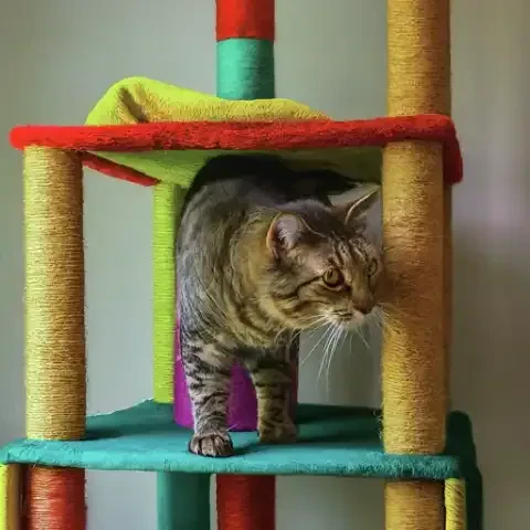 Elevating Your Feline's Lifestyle with the Ideal Climbing Haven