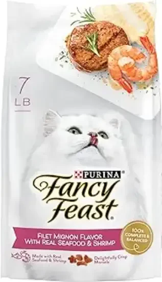 Ensuring Nutritional Harmony for Your Feline Friend