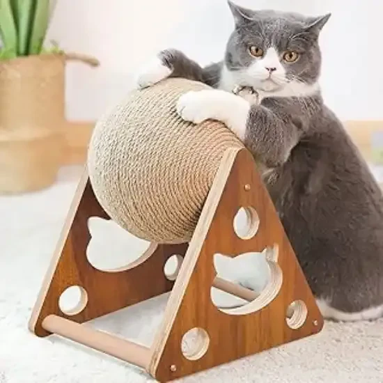 The Unintentional Comedians: Cats' Hilarious Antics That Keep Us Laughing
