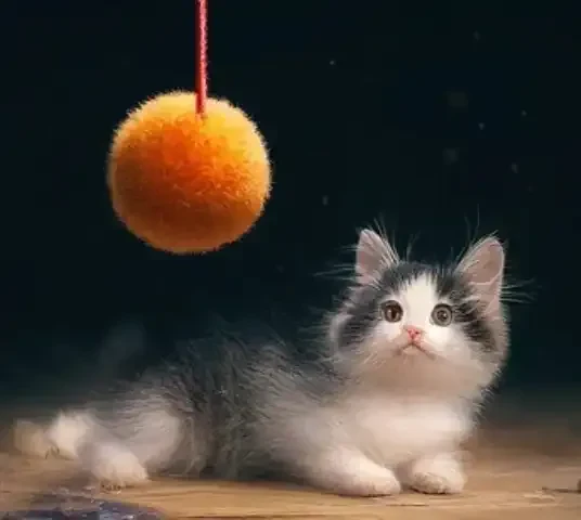 The Great Catnip Experiment: A Comedy of Feline Proportions