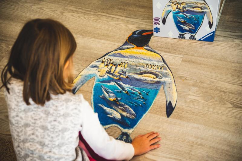 The Power of Puzzles in Boosting Cognitive Potential