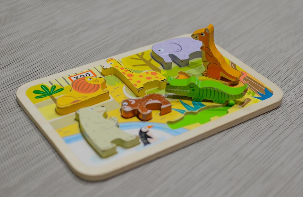 Unlocking Cognitive Potential: The Puzzle Advantage