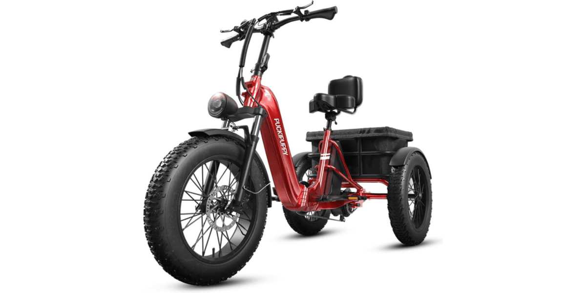 Husky Plus Electric Tricycle Review: The Ultimate City Ride?