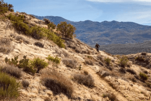 A Closer Look at How Electric Bikes Handle Steep Terrain