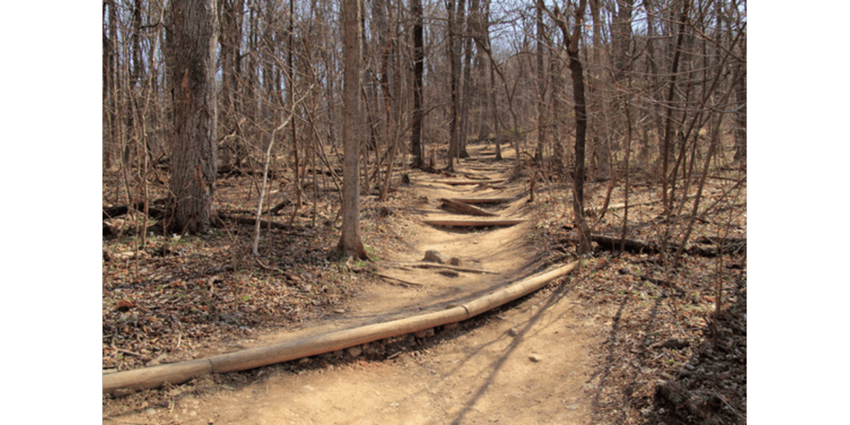 Exploring Maryland's Top E-Bike Trails: Our Picks!