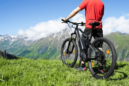 electric bike