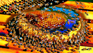 A straightforward guide to understanding how honey is made in a beehive