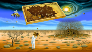 How can we help honeybees make a comeback!