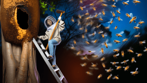 Join the Buzz and Turn Your Passion for Bees into a Thriving Business