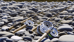 Top Picks for Fly Fishing Rods