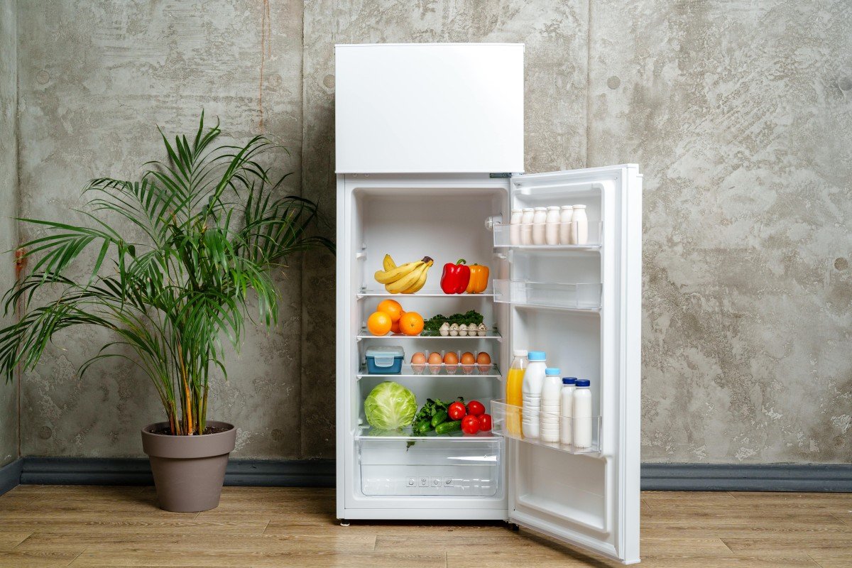 Beginners Guide To Frost Free Fridge Freezers