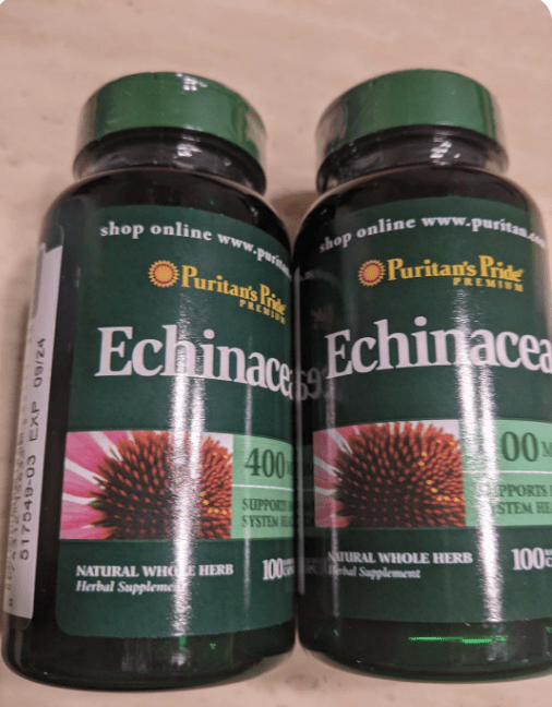 A Natural Way to Boost Your Immune System: Understanding the Benefits of Echinacea