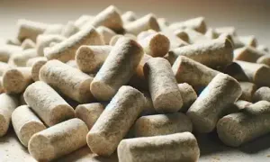 Choosing the Best Cat Litter for Your Feline Friend