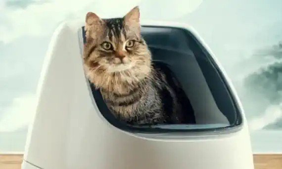 Automatic Cat Litter Box