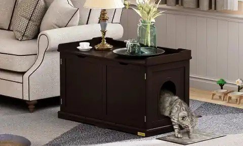 Cat Litter Box Furniture