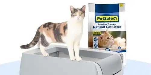 About Natural Cat Litter
