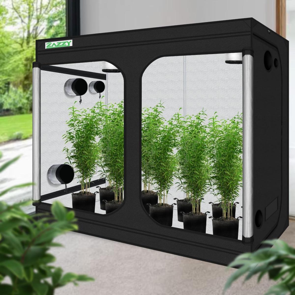 DIY Hydroponics: Set Up Your Own System