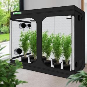 Learn the Steps Needed to Create Your Own Hydroponics System at Home