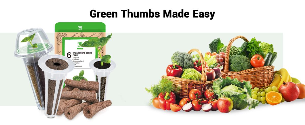 Must-Have Items for Hydroponic Growing