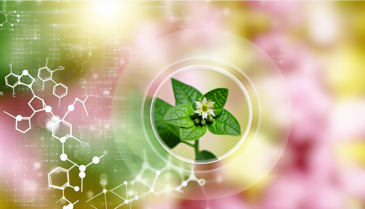 Bakuchiol 2.0 Enhancing Natural Retinol Alternatives