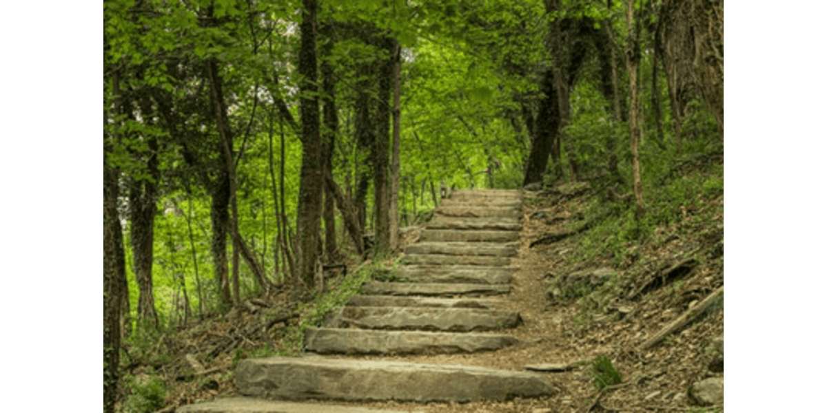 Discover Virginia's Top Running Trails for Outdoor Enthusiasts