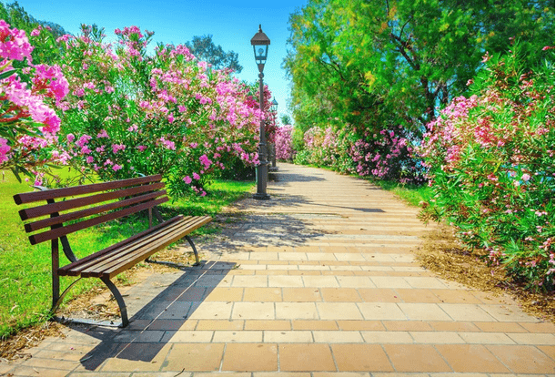 san fran  parks