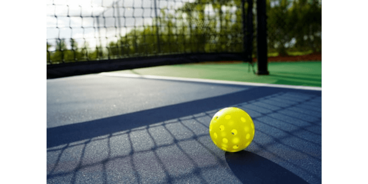 Mastering the Art of the Pickleball Net