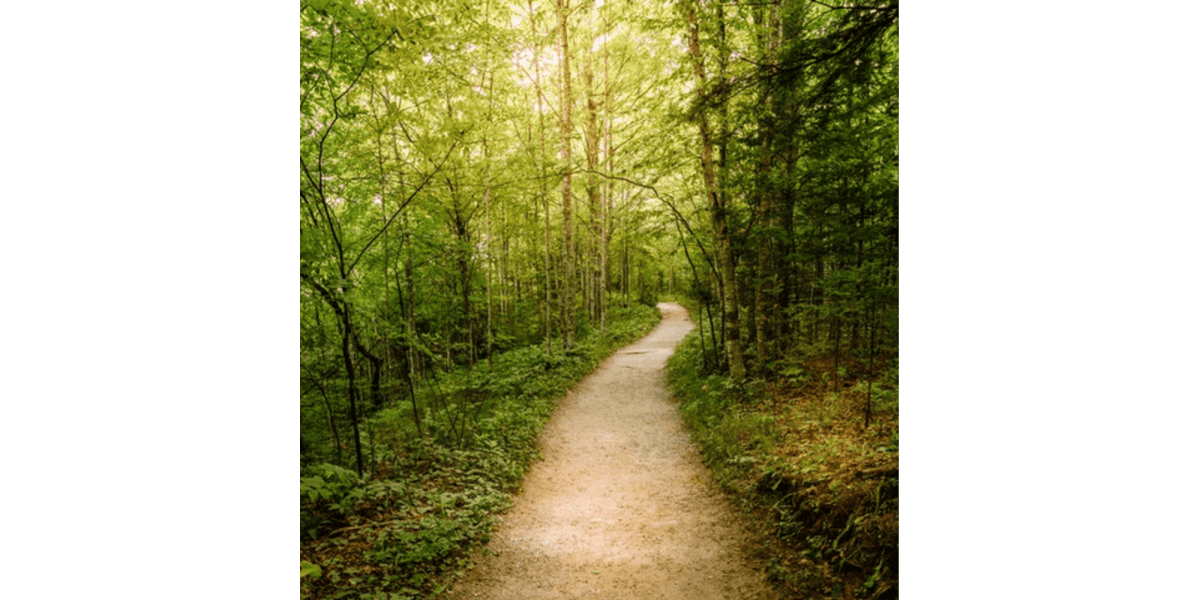 Top Running Trails in Denver Colorado
