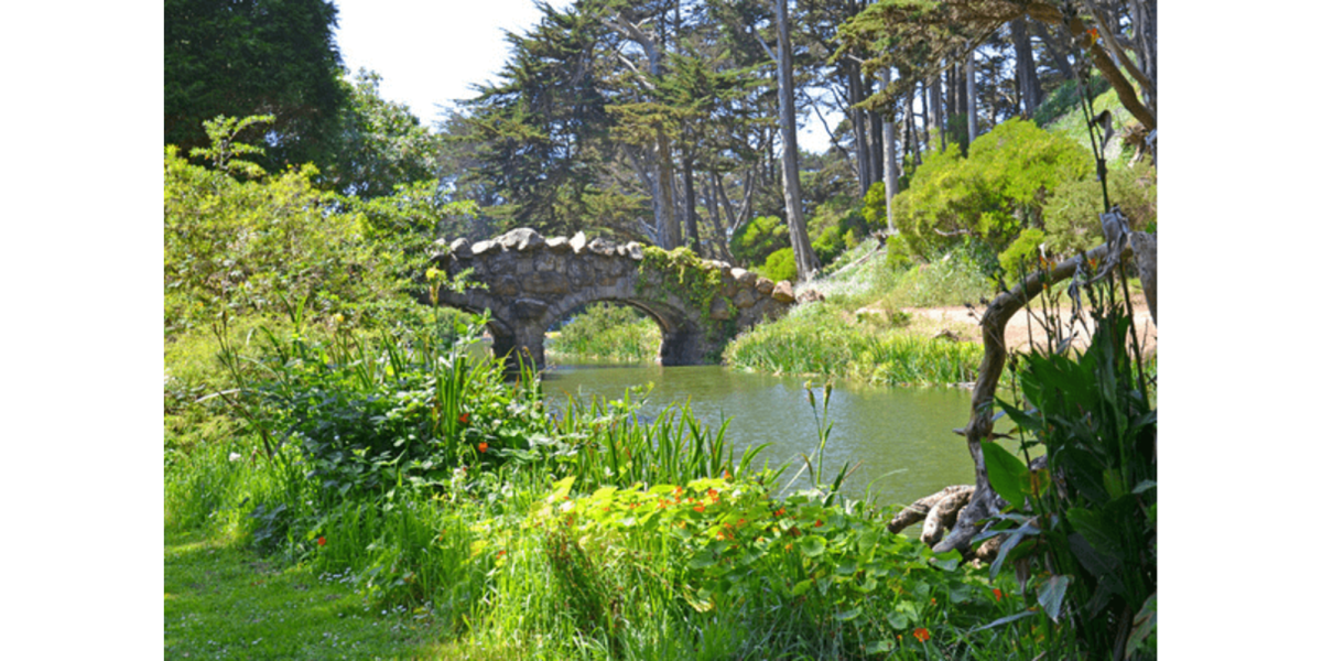 San Francisco's Top 10 Running Trails