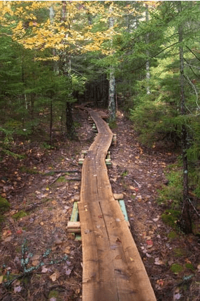 Top 10 Running Trails in Maine