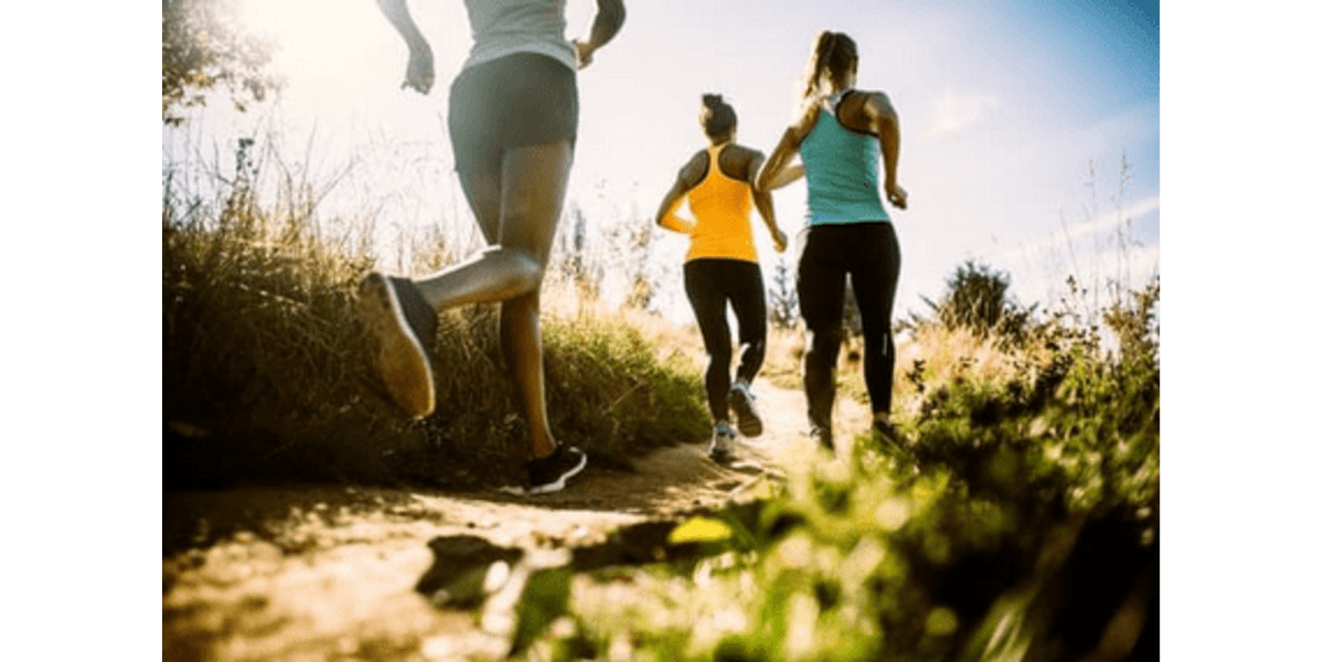 Top 10 West Virginia Walking Trails