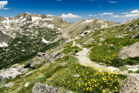 co trails