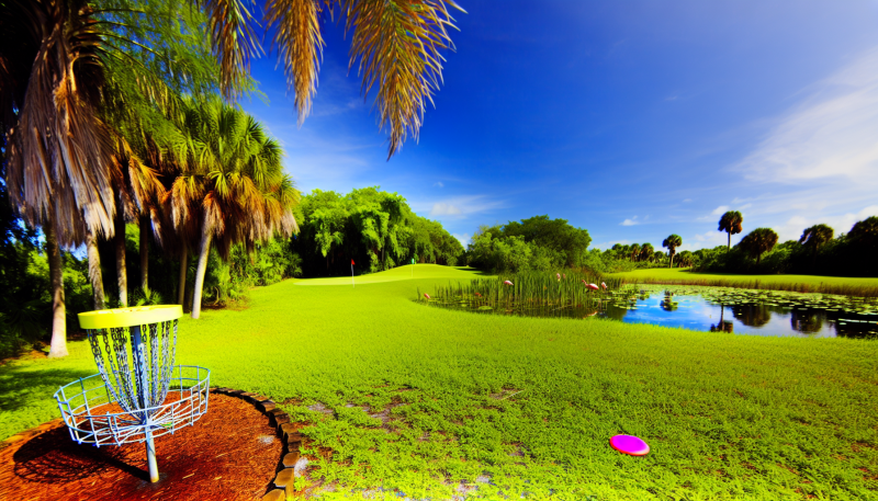 Explore Florida's Top Disc Golf Destinations