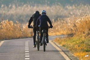 Exercise and Stay Alive