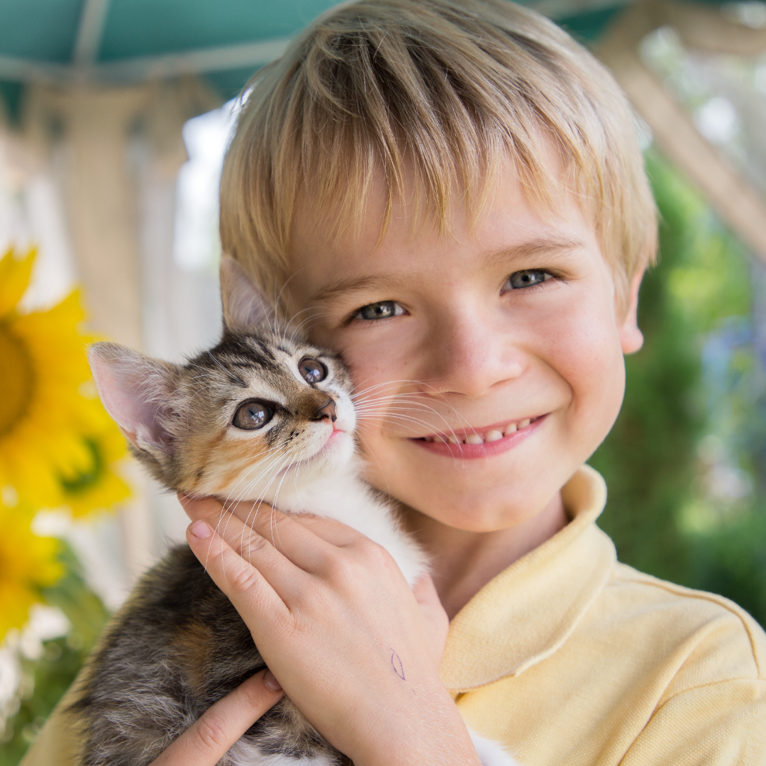Should kids have cats? Can kids get along with cats?
