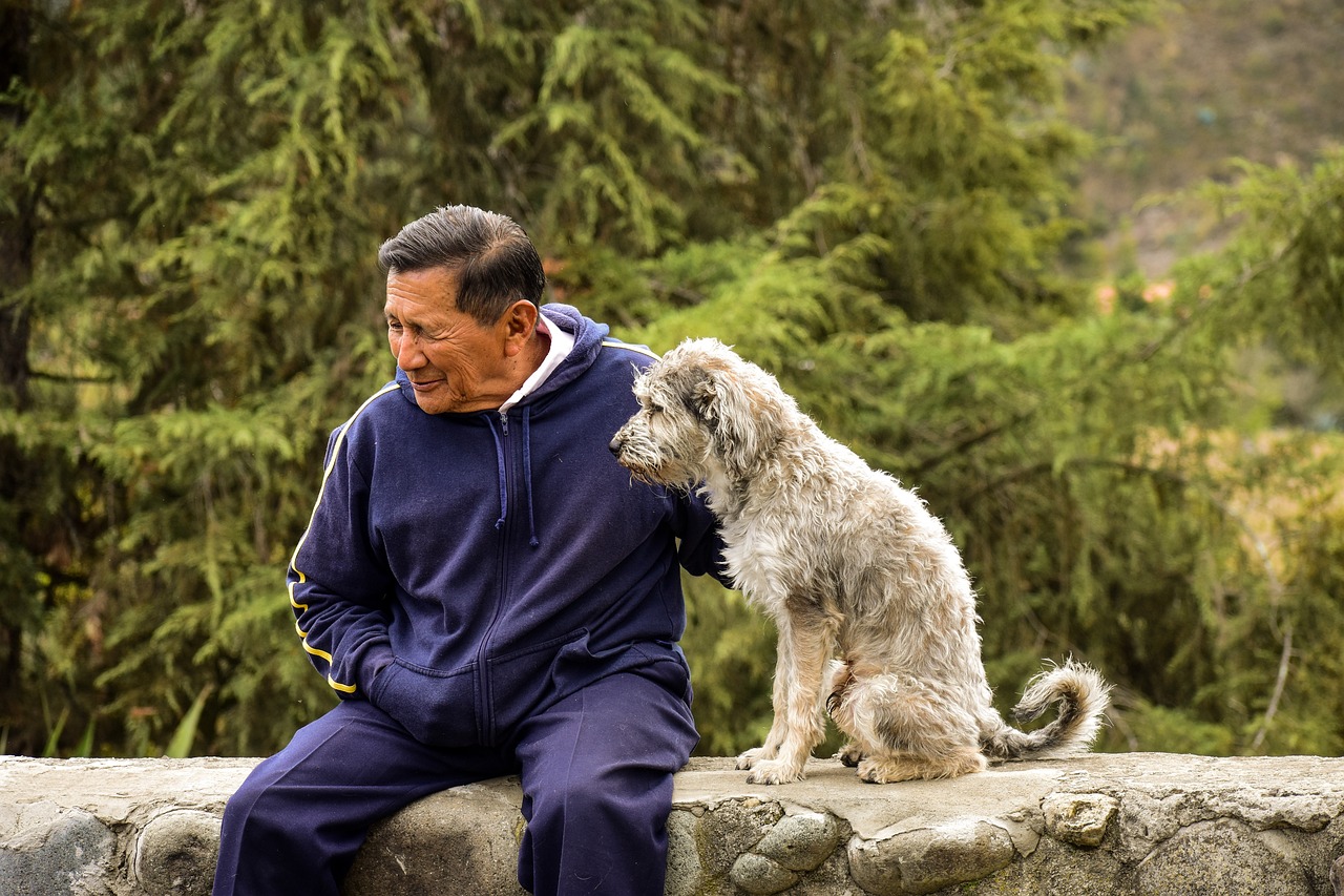 benefits of older dogs for senior citizens