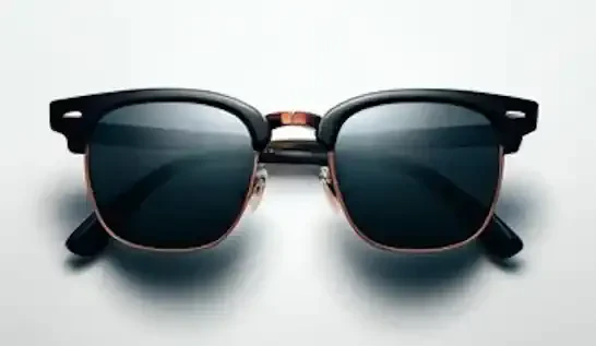 Wayfarer Sunglasses