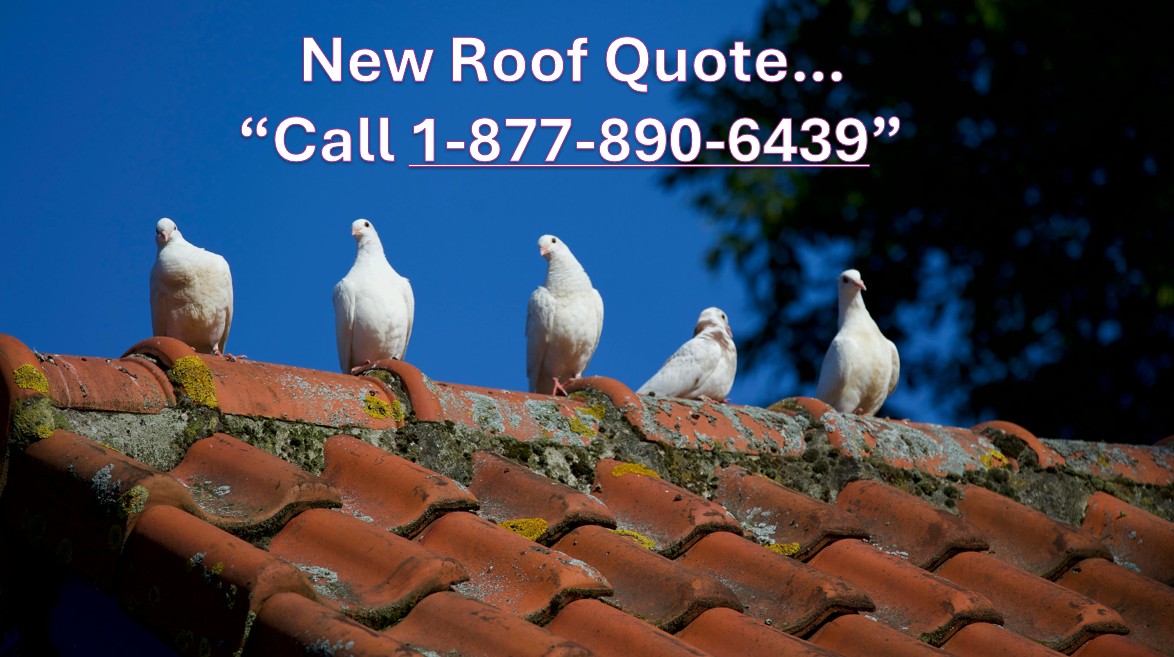 roof replacement costs in New York