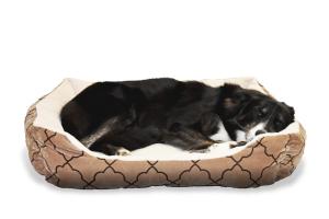 How to Choose the Perfect Dog Bed for Your Furry Friend