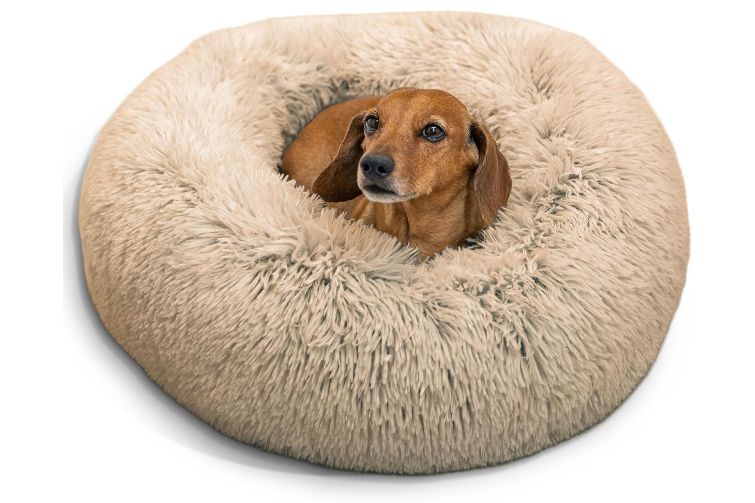 Sheri's Cozy Calming Dog Bed