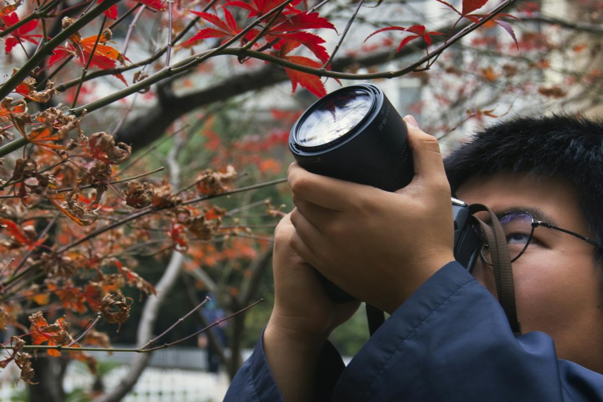 Top Camera Picks for Optimal Birding Experience