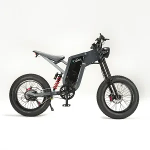 Get ready to ride in style and comfort with the R1 Electric Bike