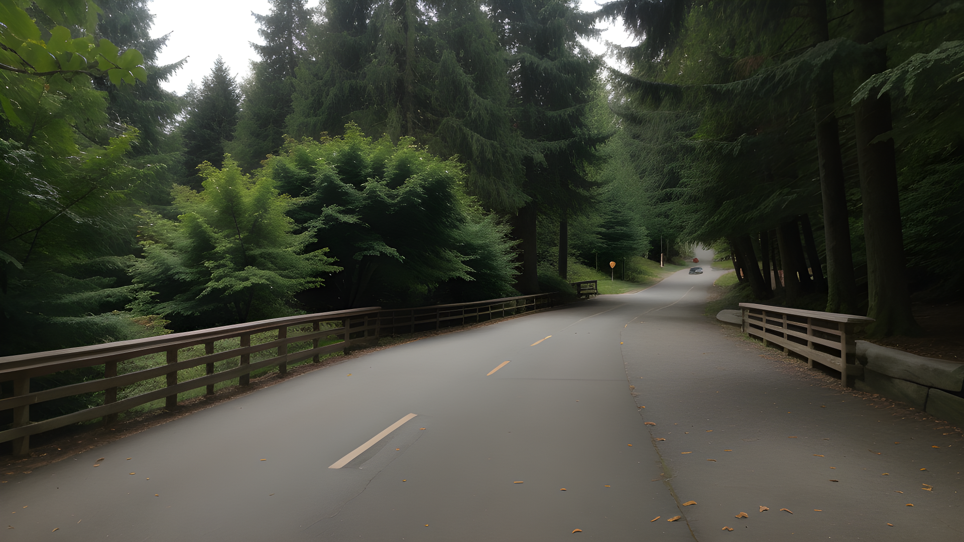 Burke-Gilman Trail