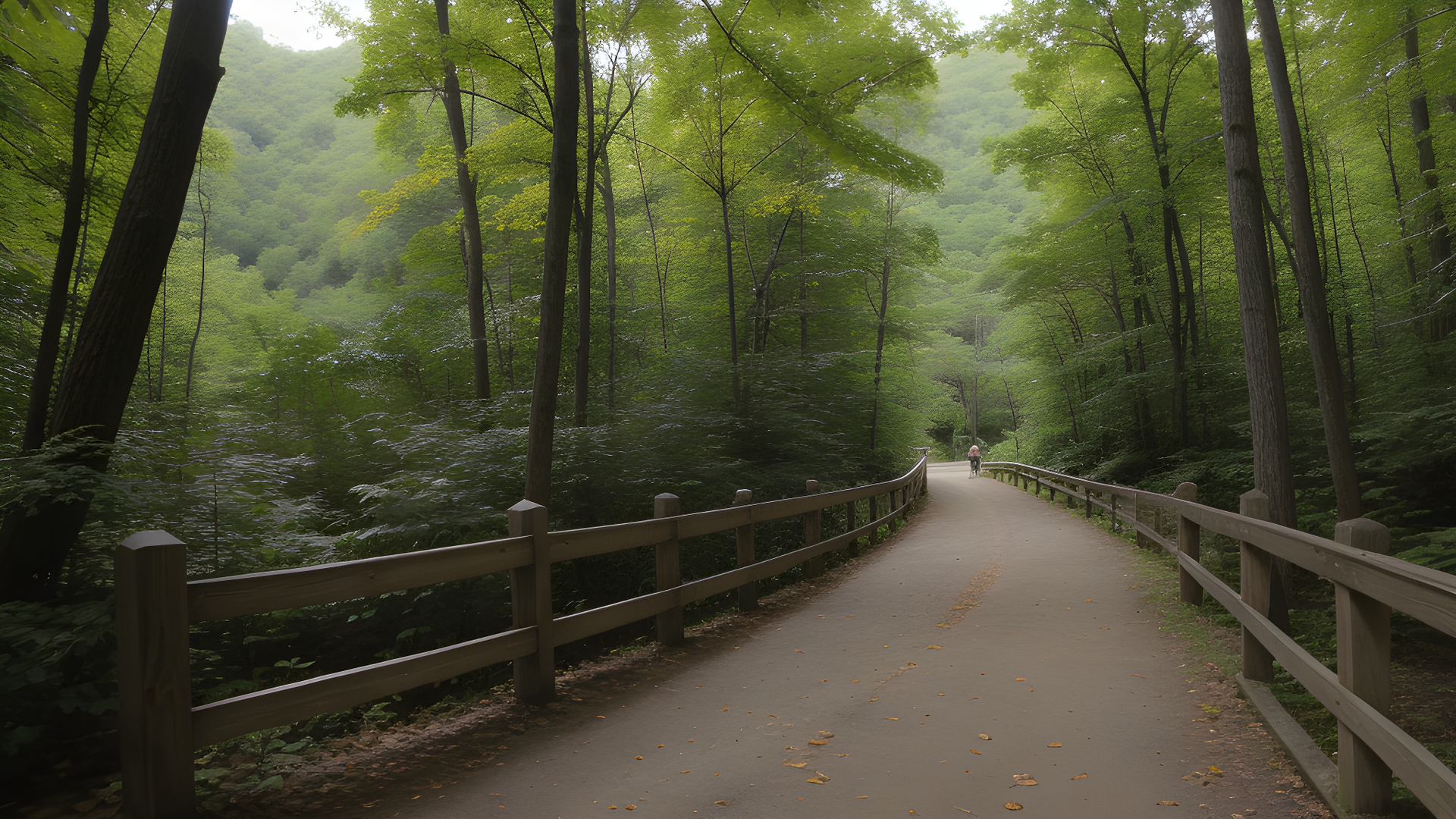 Great Allegheny Passage (GAP)