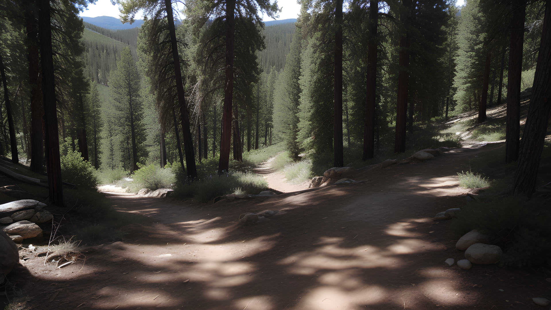 Colorado Trail