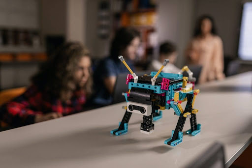 how-to-find-unique-toys