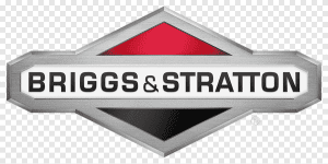 Briggs & Stratton Chainsaws