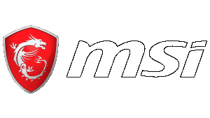 MSI